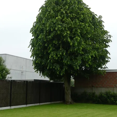 Vakantiehuis Le Libr'air *