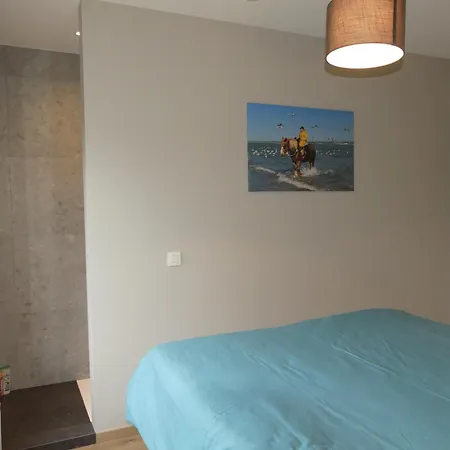 Hébergement de vacances Vakantiehuis Le Libr'air Coxyde